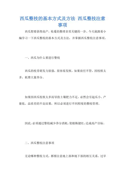 西瓜整枝的基本方式及方法 西瓜整枝注意事项