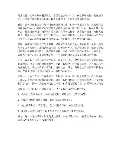 采编工作一月感想总结