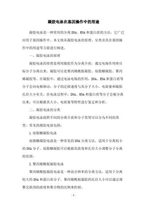 凝胶电泳在基因操作中的用途