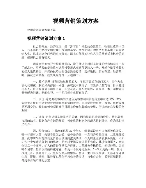 视频营销策划方案