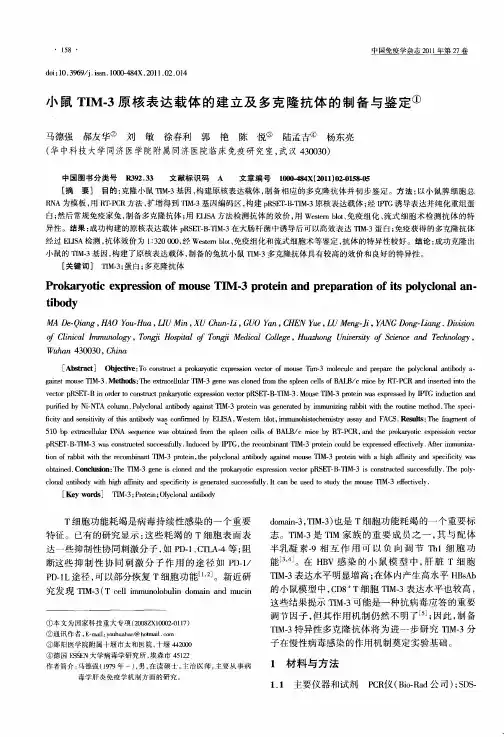 小鼠TIM-3原核表达载体的建立及多克隆抗体的制备与鉴定