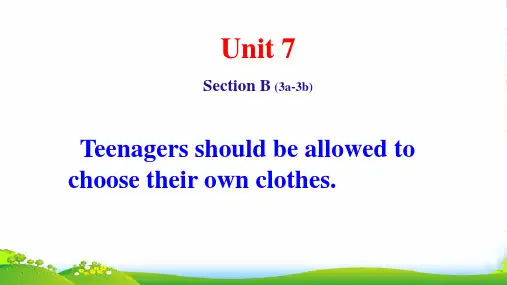 人教目标九年级全一册英语：Unit 7 Section B(3a—3b) 课件(共17张)
