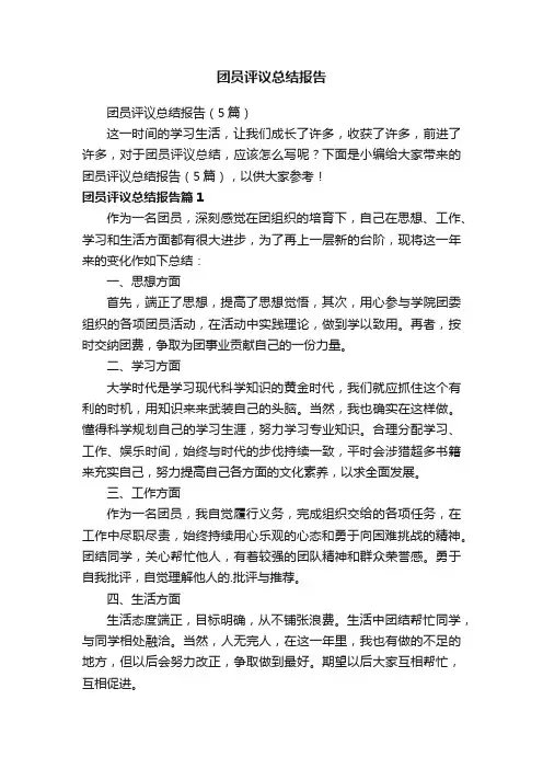 团员评议总结报告