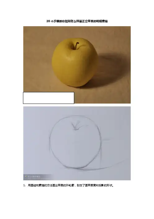 教你如何怎么样画苹果的明暗素描