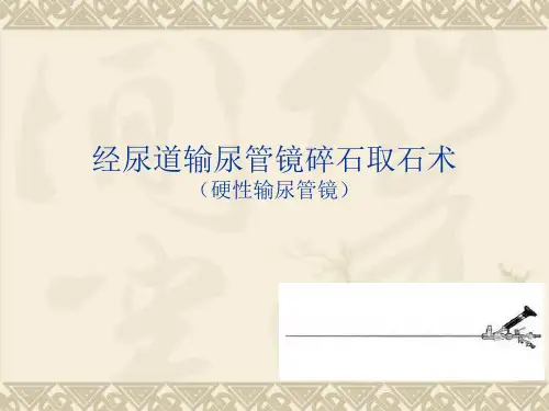 经尿道输尿管镜碎石取石术ppt课件