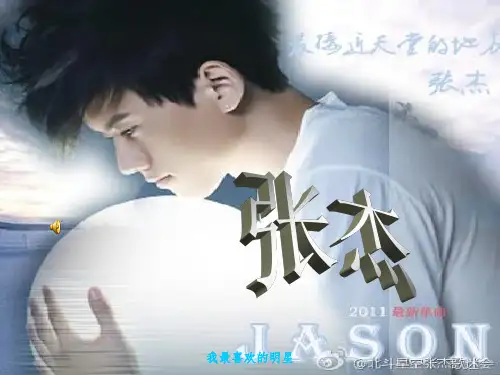 我最喜欢的明星——张杰