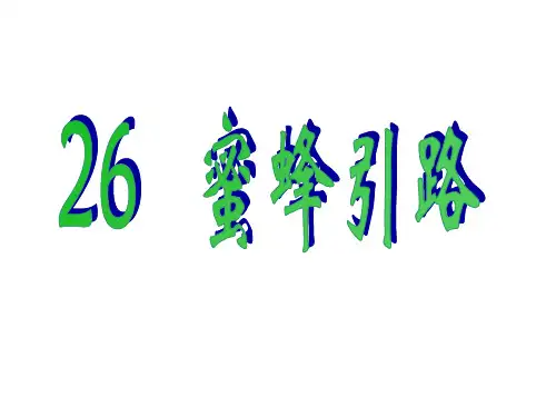 二年级下册语文课件26、蜜蜂引路｜人教新课标 (共24张PPT)