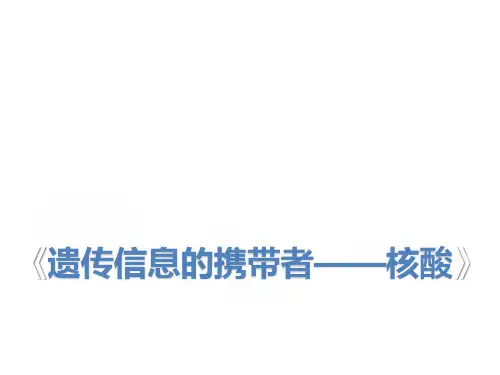必修一(5)遗传信息的携带者——核酸 课件 2021届高考一轮复习生物(共15张PPT)
