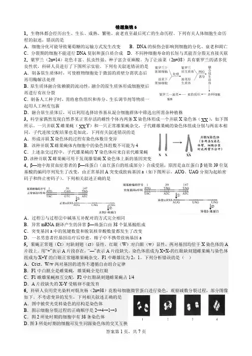 错题集锦6 