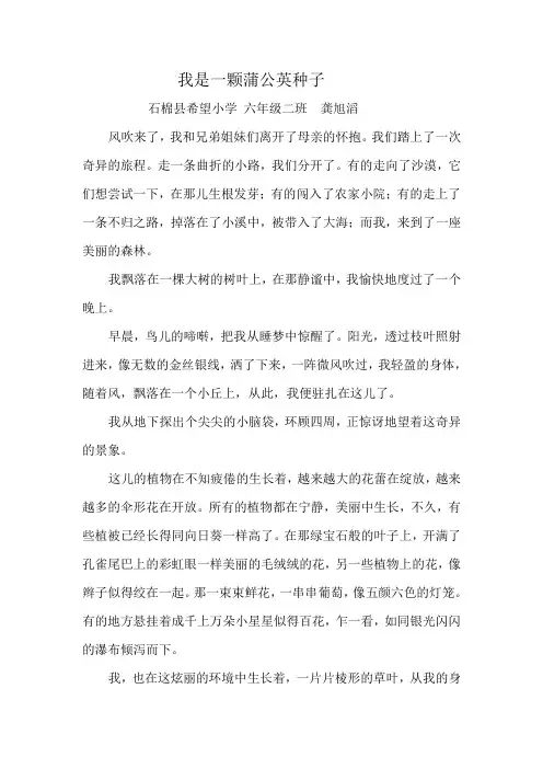 我是一颗蒲公英种子