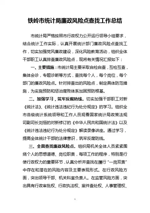 统计局查找廉政风险点工作总结