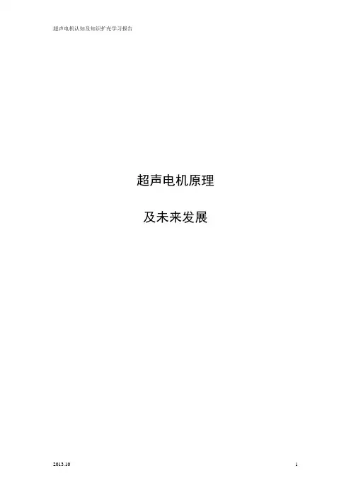 文献综述,超声电机原理与未来