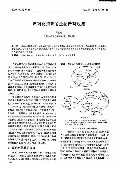 反硝化聚磷的生物除磷脱氮