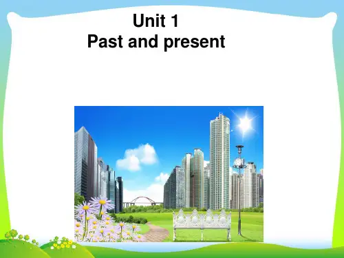 【最新】牛津译林版八年级英语下册Unit1 Grammar精品课件(共28张PPT).ppt