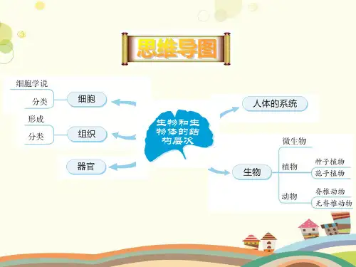 生物和生物体的结构层次完整版课件