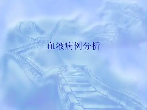 血液病例分析PPT课件