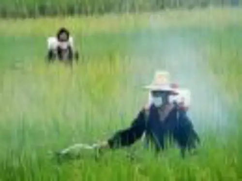第二节食品的化学性污染及其预防ppt课件