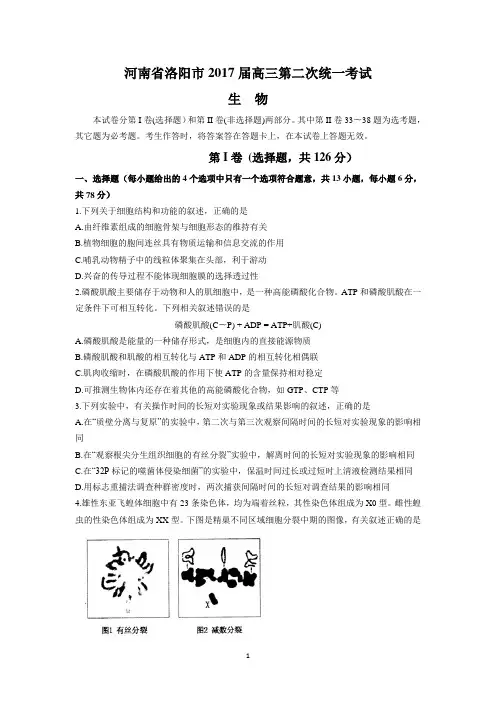 河南省洛阳市2017届高三第二次统一考试(生物)