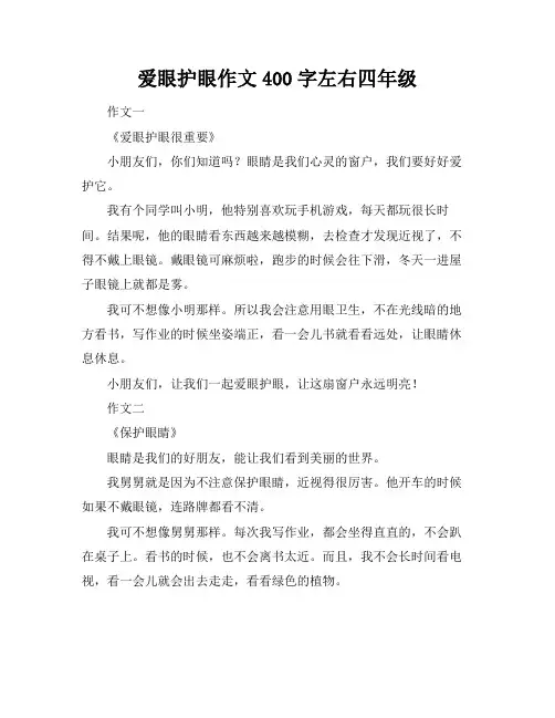 爱眼护眼作文400字左右四年级