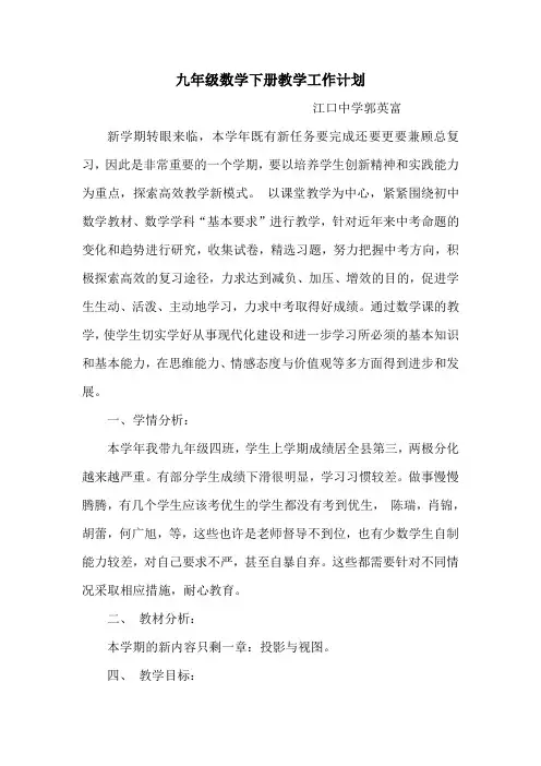 九年级数学下册教学工作计划