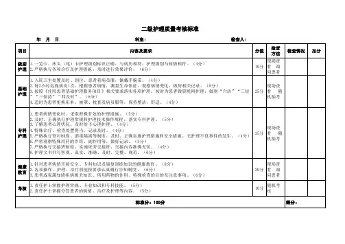 二级护理质量考核标准