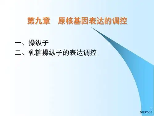乳糖操纵子-PPT课件