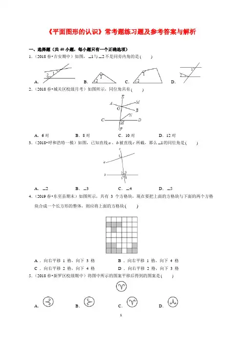 初中数学《平面图形的认识》常考题练习题及参考答案与解析(word版)