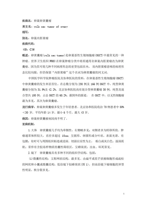 卵巢卵黄囊瘤疾病详解