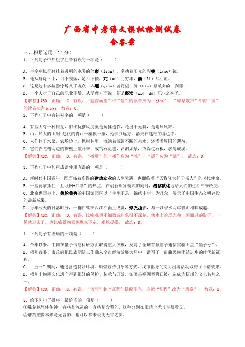 2021年广西省中考语文模拟试题(含解析)