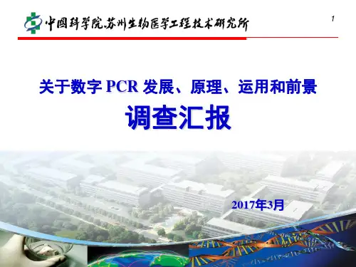 关于数字PCR的报告 方昊
