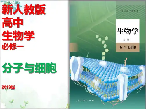 新人教版高中生物学必修一分子与细胞细胞核的结构和功能(24张)-PPT优秀课件