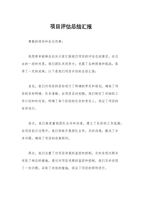 项目评估总结汇报