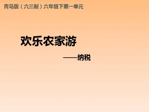 青岛版小学六年级数学下册《纳税(信息窗3)》教学课件