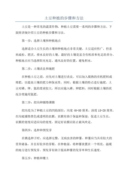土豆种植的步骤和方法