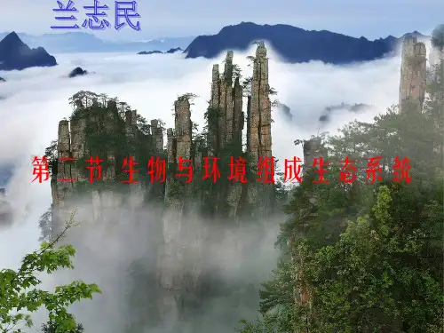 第二节_生物与环境组成生态系统