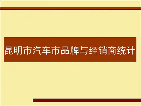 昆明汽车市场调查报告