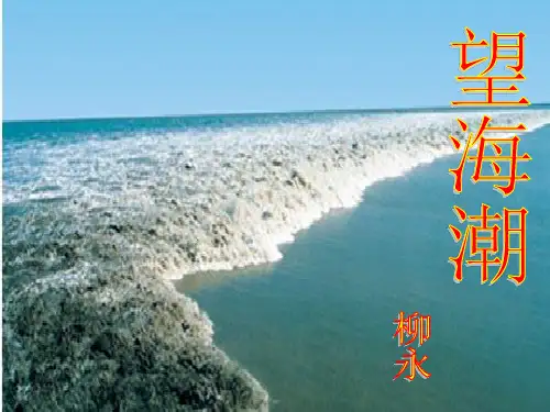 人教版高一语文  必修4课件：第4课柳永词两首《望海潮》 (共52张PPT)
