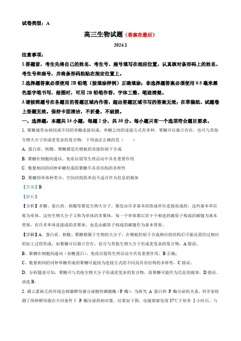 山东省滨州市2023-2024学年高三上学期期末生物试题含答案