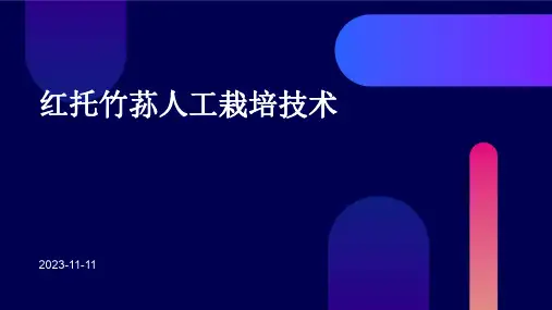 红托竹荪人工栽培技术