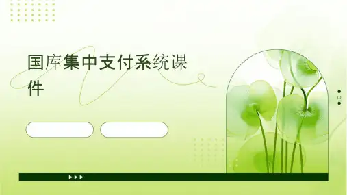 国库集中支付系统课件