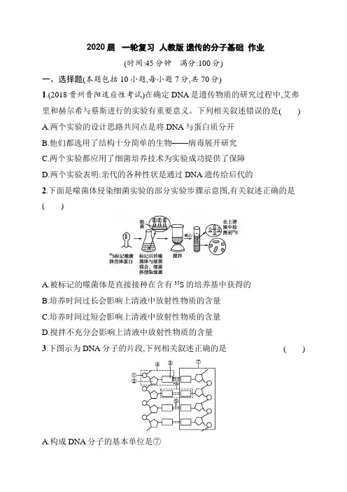 2020届   一轮复习  人教版 遗传的分子基础  作业.doc