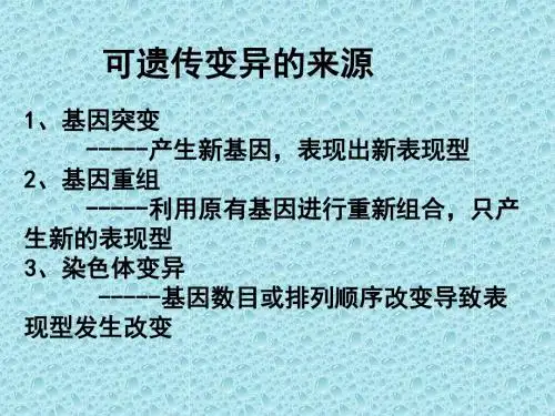 人教版必修2 第6章第一节  杂交育种与诱变育种 (共36张PPT)