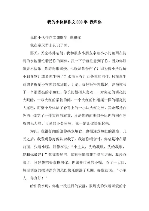 我的小伙伴作文800字 我和你