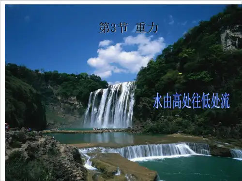 人教版《重力》_课件-完美版