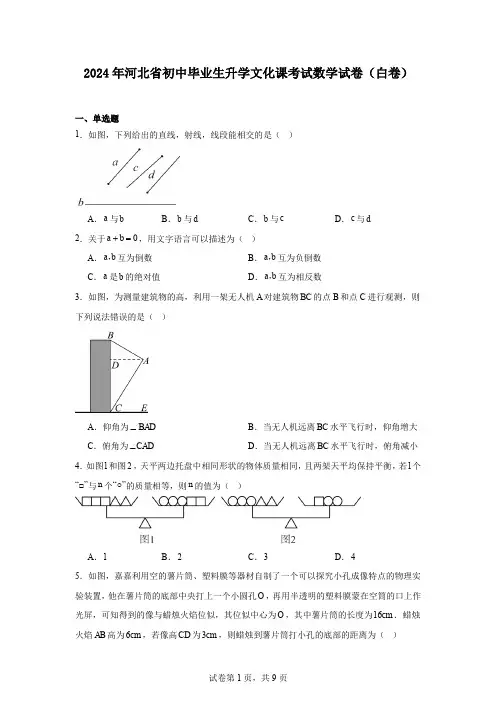2024年河北省初中毕业生升学文化课考试数学试卷(白卷)