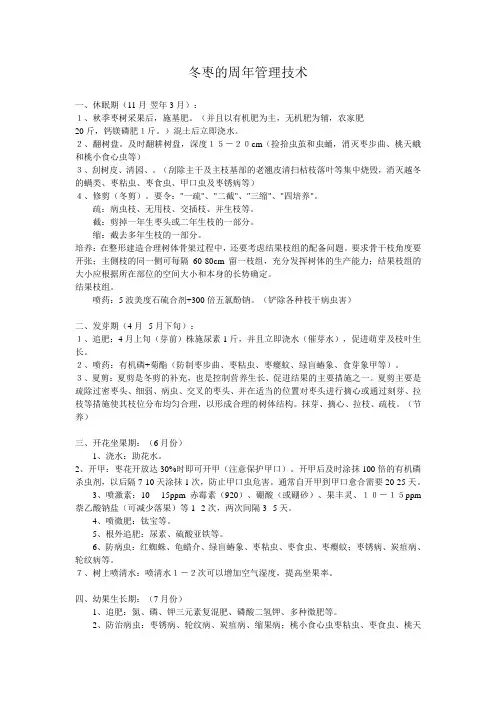 冬枣的周年管理技术
