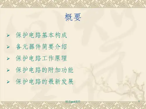 保护电路介绍基础详解ppt课件