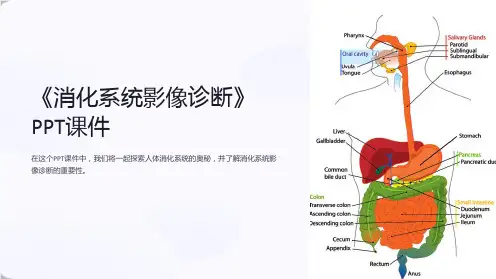 《消化系统影像诊断》课件