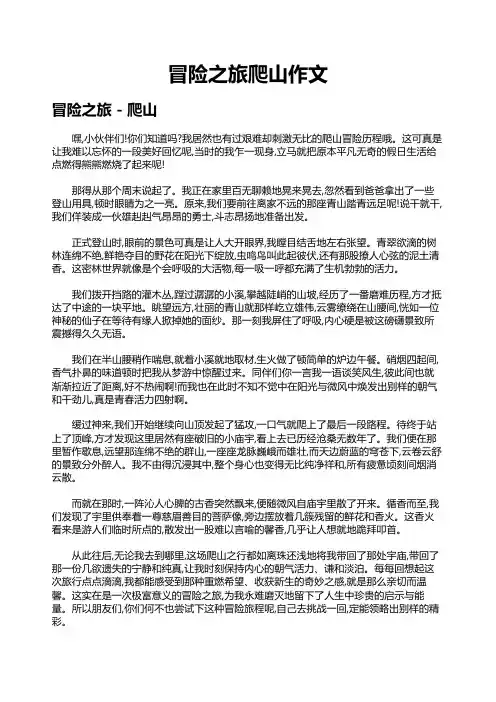 冒险之旅爬山作文