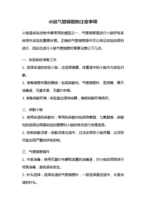 小鼠气管插管的注意事项